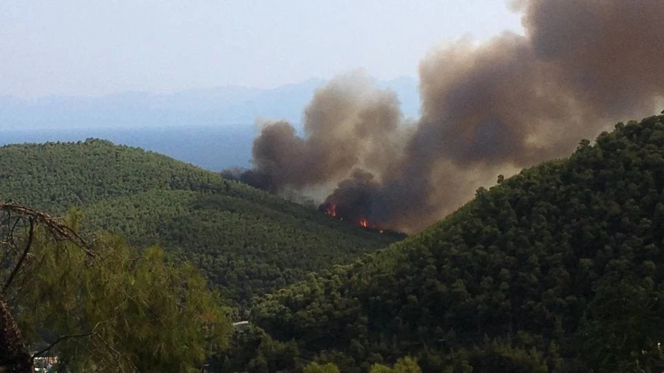 Ανεξέλεγκτη η φωτιά στη Σκόπελο -Με το πρώτο φως της ημέρας σηκώθηκαν δύο αεροσκάφη (βίντεο)